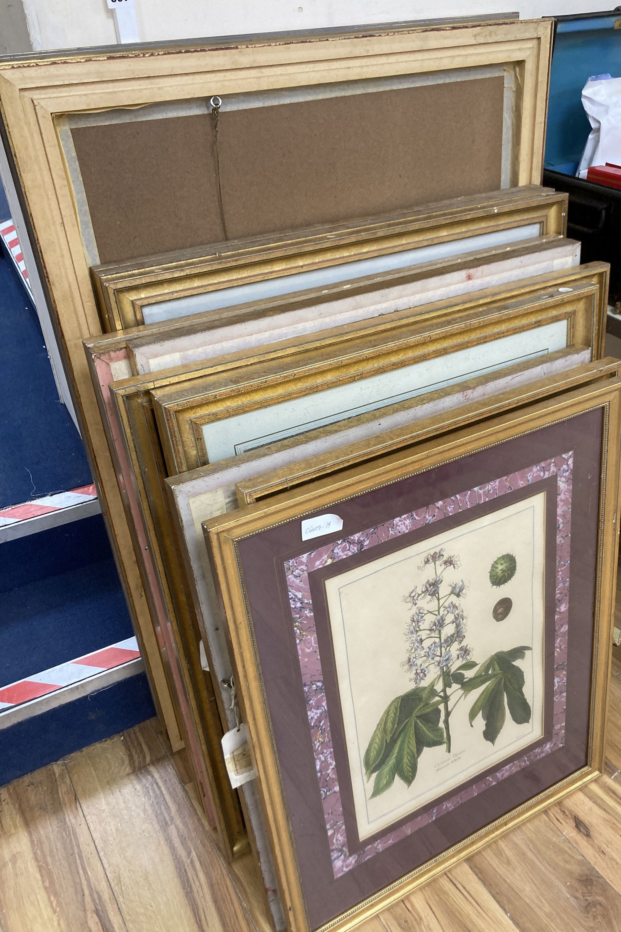 A group of assorted modern colour prints, mainly botanical studies